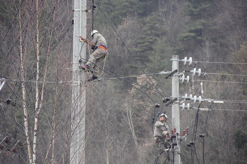 陜西地電留壩供電分公司：實施農石線、索道線分網改造