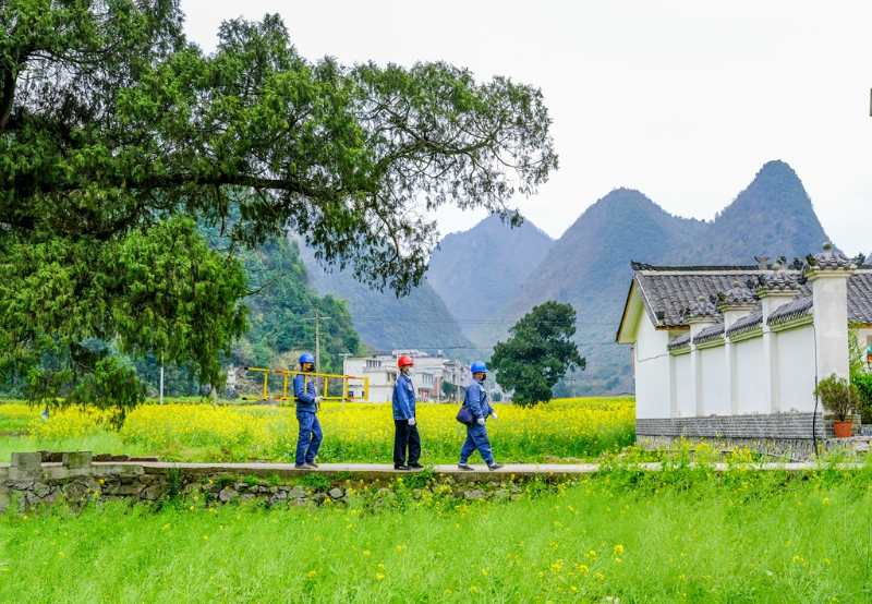 平塘供電局：“網(wǎng)格化”服務，護航“菜籃子”