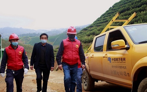 平塘供電局：“加減法”同構服務，護航“貴州春茶第一壺”