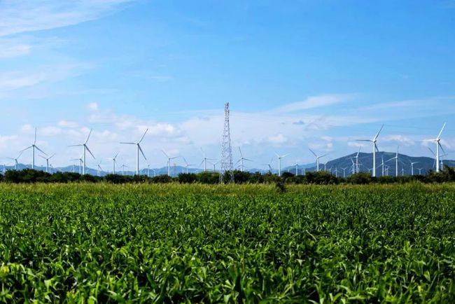 收購(gòu)墨西哥818MW光伏電站，國(guó)家電投境外光伏電站裝機(jī)超6GW