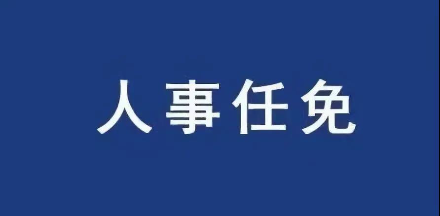 重磅！張智剛?cè)螄?guó)家電網(wǎng)總經(jīng)理、黨組副書(shū)記，韓君出任三峽集團(tuán)總經(jīng)理