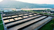 不用燒、不用填 生物處理技術(shù)出手，垃圾成資源