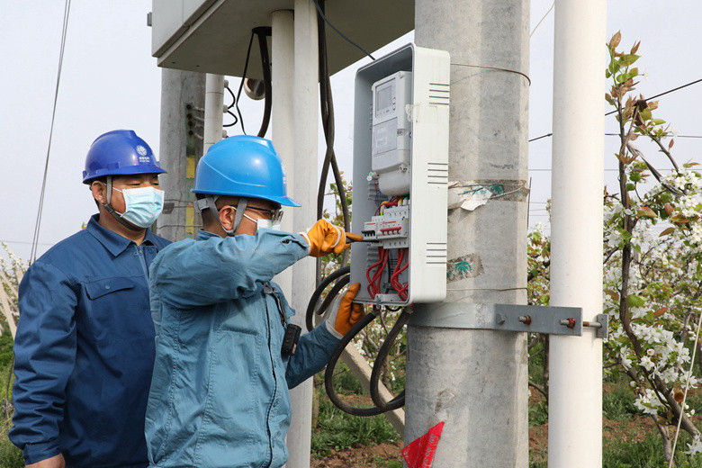 國網(wǎng)諸城市供電公司電力足，千畝梨園花正濃