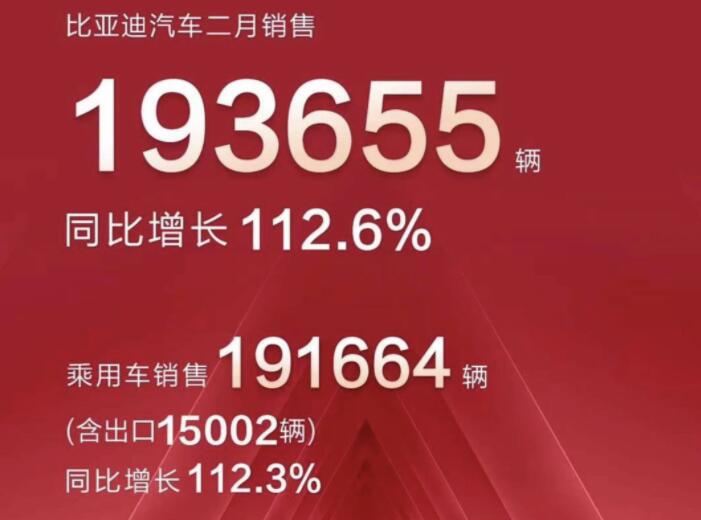 2月新能源車企成績(jī)單出爐，比亞迪一騎絕塵