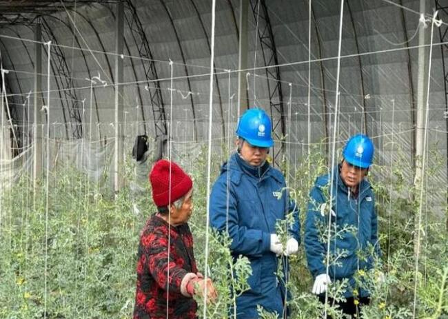 山東惠民供電公司：走訪種植大棚，優(yōu)化農(nóng)業(yè)營商環(huán)境